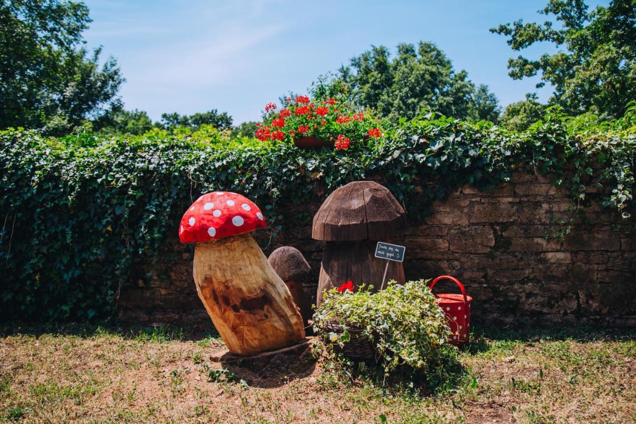 Casa Karnevali Villa Zminj Bagian luar foto